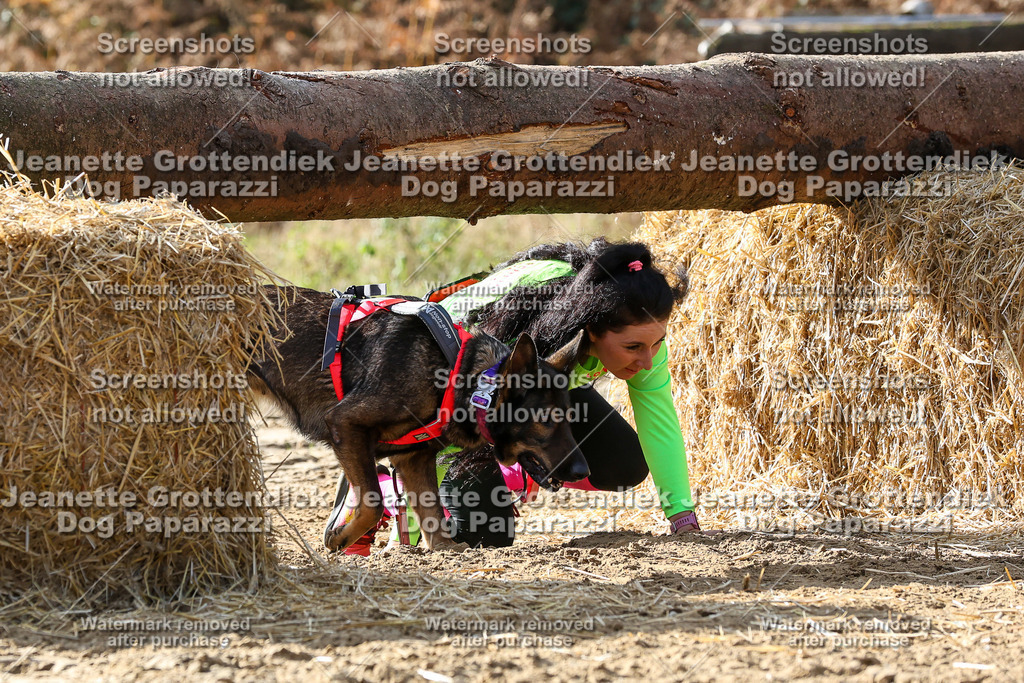 Dog Paparazzi - Strongdog 10-25-5866 | Dog Paparazzi Jeanette Grottendiek Fotografie & Videografie - Realisiert mit Pictrs.com