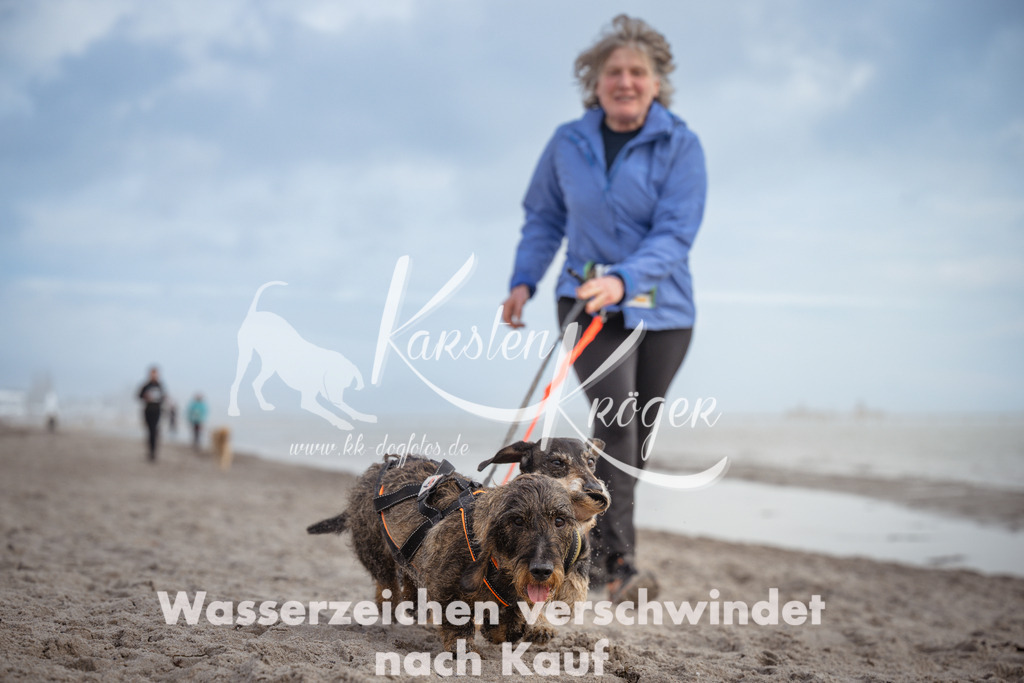 1211_ZZ94675 | kk-dogfotos