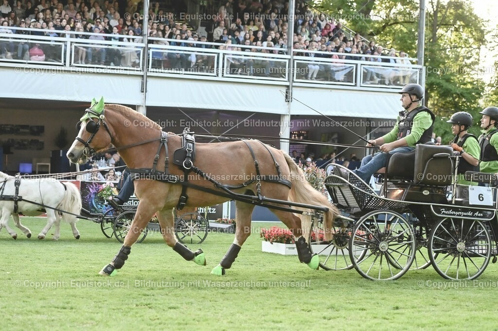 20230526_Pferdenacht_0192 | equistock