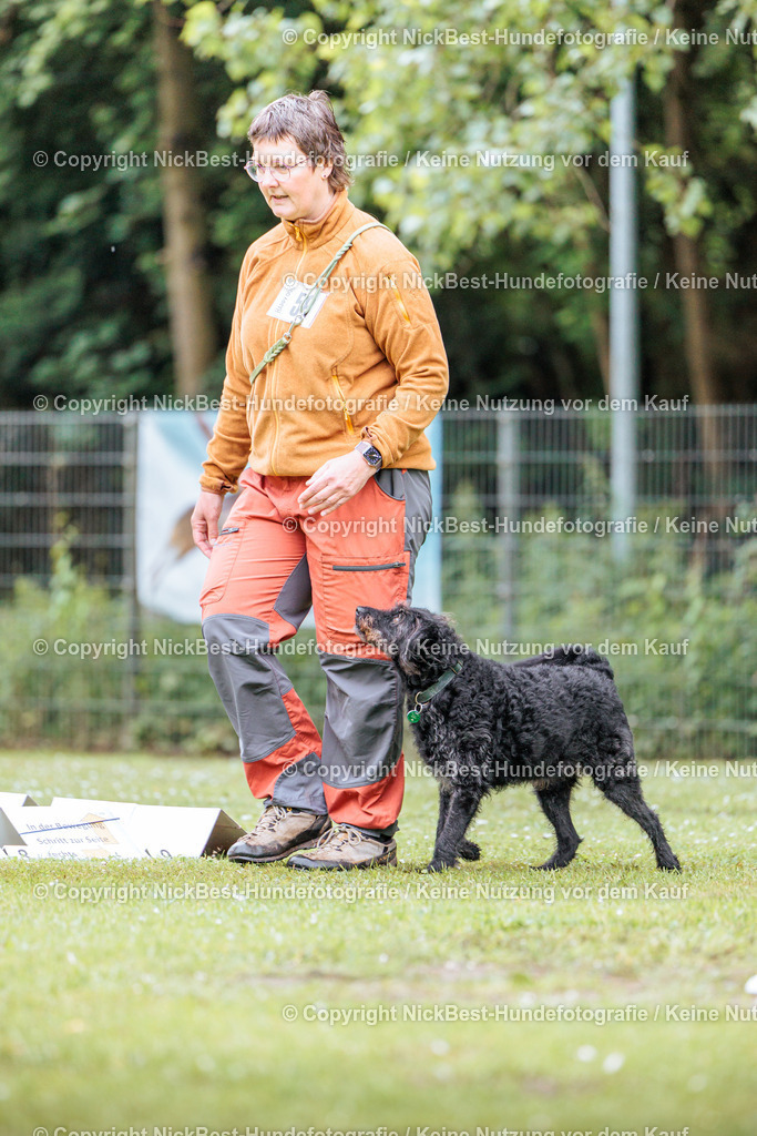 RO-Blumenthal-2026-Nickbest-Hundefotografie-1092 | Dein Hund! Dein Moment! Deine Erinnerungen! Hundefotografie in Bremen Blumenthal. Ich fange die besonderen Momente deines Vierbeiners ein – ob Indoor mit Blitzanlage oder in der freien Natur. Sicher dir dein Moment und dein Termin für eure Erinnerungen.