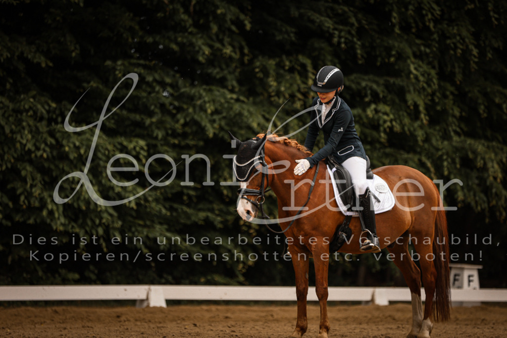 DoDrE00232 | Leoni Ertmer Photography - Realisiert mit Pictrs.com