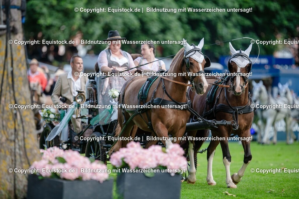 20250606_Lange-Pferdenacht_0097 | Foto: Thomas Hartig