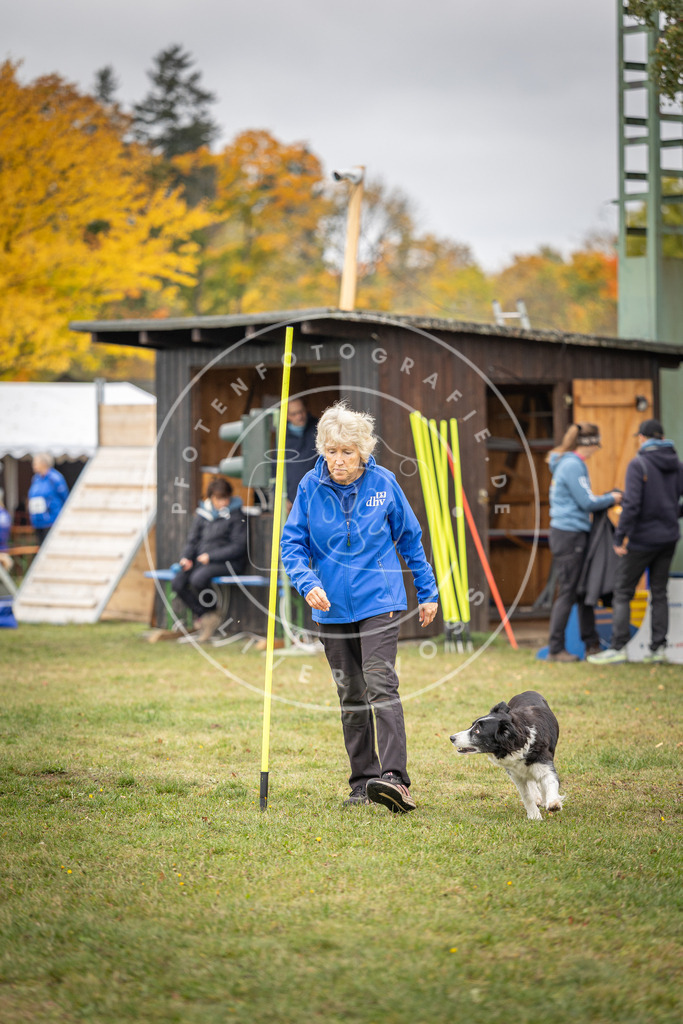 Pfotenfotografie_DV3A5061 | Hundefotografie, Tierfotograf, Pfotenfotografie, Fotoshooting Hund, Hunde Portrait, Hundesport, Hundeportraits, Heideshooting, Hunde, Sportfotograf, Hundefotograf, Turnierhundsport, THS,  - Realisiert mit Pictrs.com