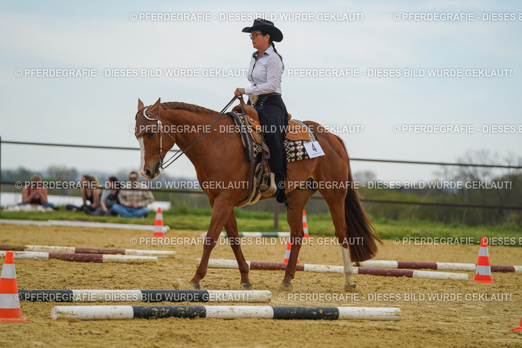 DSC02582 | Pferdegrafie