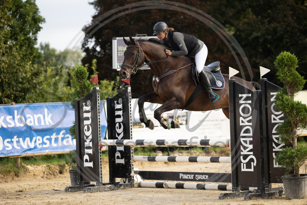 994A6925 | sabrinanicolaifotografie - Realisiert mit Pictrs.com