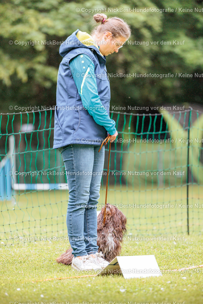 RO-Blumenthal-2026-Nickbest-Hundefotografie-0282 | Dein Hund! Dein Moment! Deine Erinnerungen! Hundefotografie in Bremen Blumenthal. Ich fange die besonderen Momente deines Vierbeiners ein – ob Indoor mit Blitzanlage oder in der freien Natur. Sicher dir dein Moment und dein Termin für eure Erinnerungen.