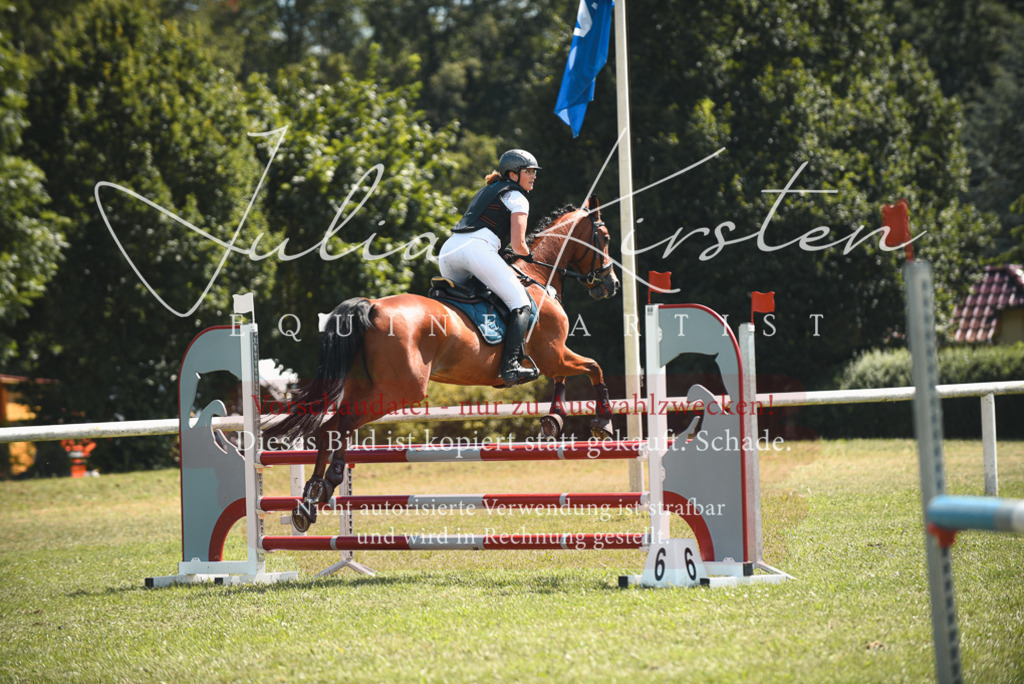 DSC_6600 | Pferde- und Turnierfotografie in Westsachsen. Pferdeportraits, Auftragszeichnungen und intuitive Kunst.