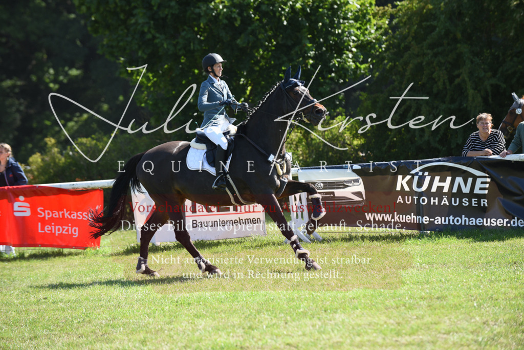 DSC_9208 | Pferde- und Turnierfotografie in Westsachsen. Pferdeportraits, Auftragszeichnungen und intuitive Kunst.