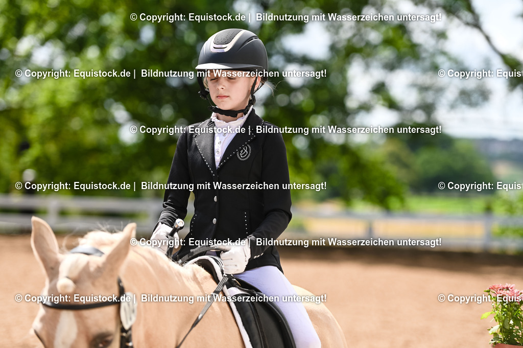 20230716_10-3_Reiter-WB Schritt - Trab - Galopp_0130 | equistock