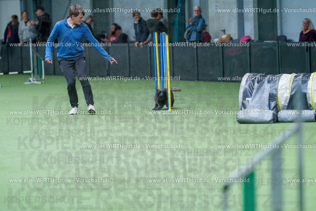 @allesWIRTHgut_Tierfotografie - www.allesWIRTHgut.de - 2604251128-7R500725 | Professionelle Tierfotografie in Mönchengladbach von Daniel Wirth (allesWIRTHgut). Liebevolle & natürliche Bilder von Hunden & Katzen für unvergessliche Erinnerungen.