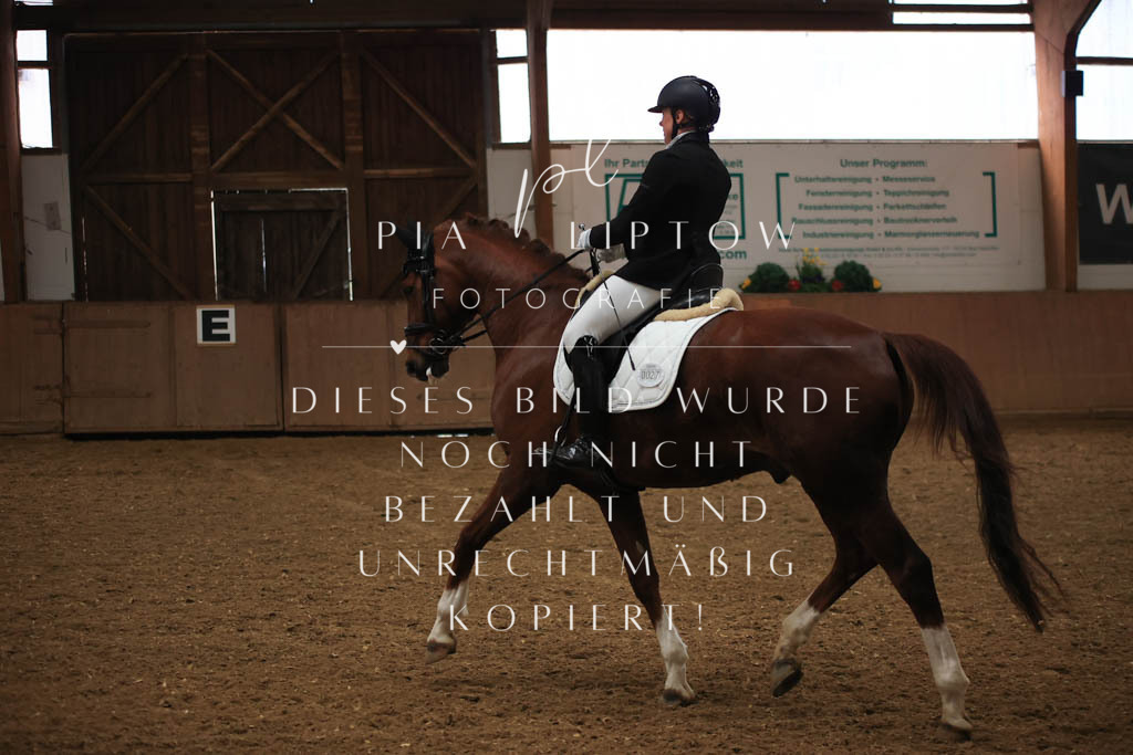 IMGT8943 | pl-fotografie