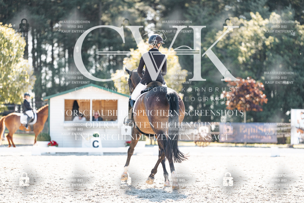 CK905930 | Turnierfotografie Pferdefotografie Trier Rheinland-Pfalz Pferdesport Reitsport Tierfotografie Sportfotografie Pferdevideo Pferdevideografie Equestrianvideography equestrianphotography  - Realisiert mit Pictrs.com