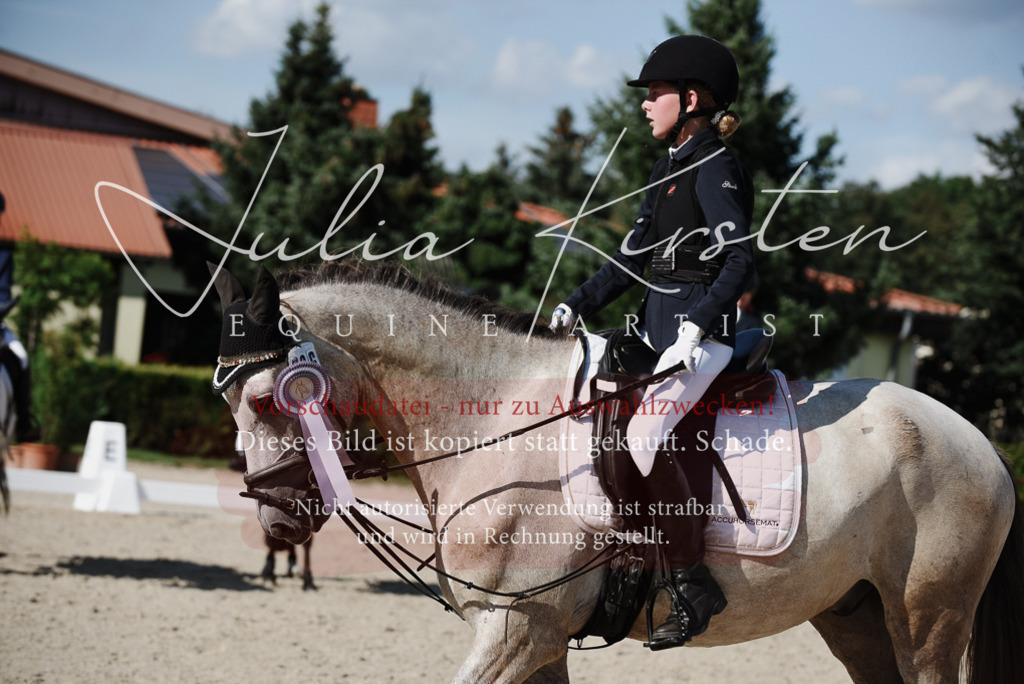 DSC_0190 | Pferde- und Turnierfotografie in Westsachsen. Pferdeportraits, Auftragszeichnungen und intuitive Kunst.