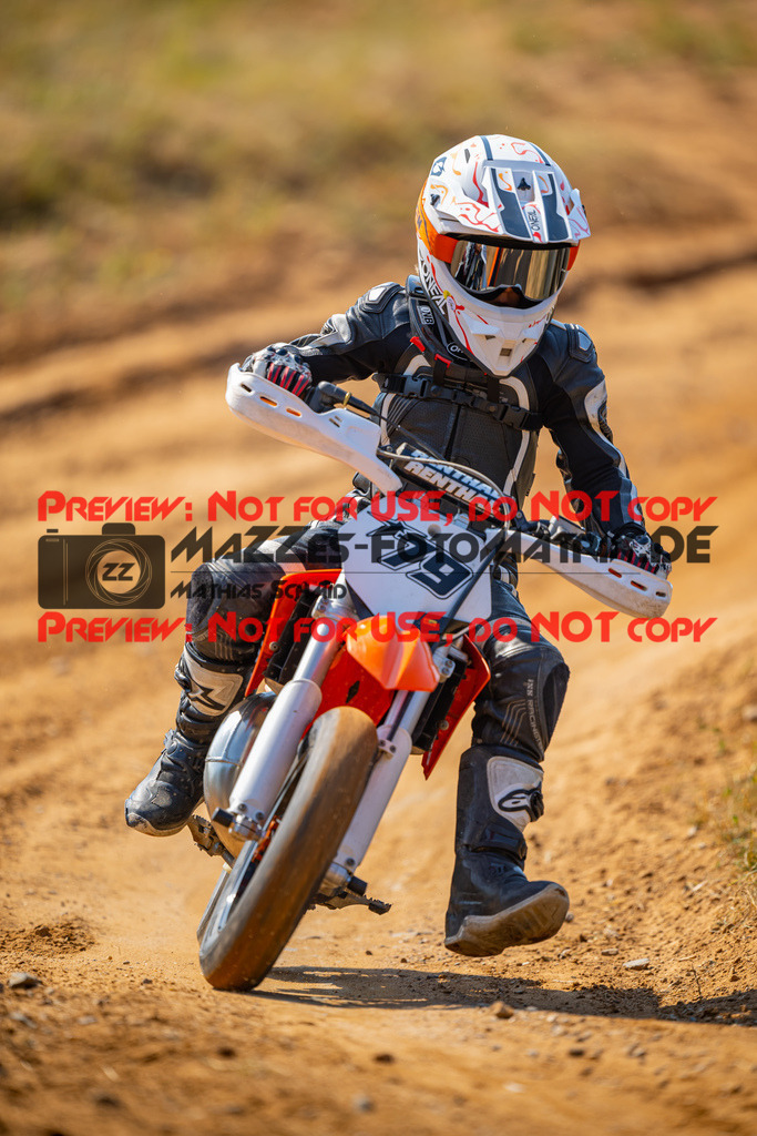 MaZZes-Fotomatrix-20260815-605084 | ROOKIES
