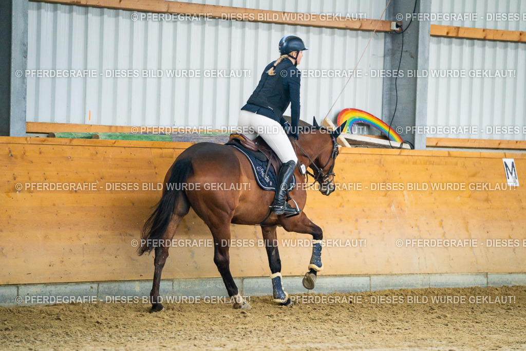 DSC00544 | Pferdegrafie