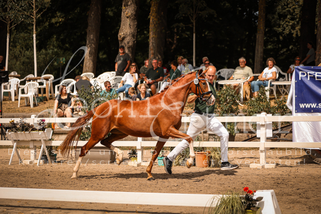 11.So00067 | Leoni Ertmer Photography - Realisiert mit Pictrs.com