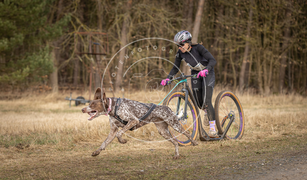 DV3A4634 | Hundefotografie, Tierfotograf, Pfotenfotografie, Fotoshooting Hund, Hunde Portrait, Hundesport, Hundeportraits, Heideshooting, Hunde, Sportfotograf, Hundefotograf, Turnierhundsport, THS,  - Realisiert mit Pictrs.com