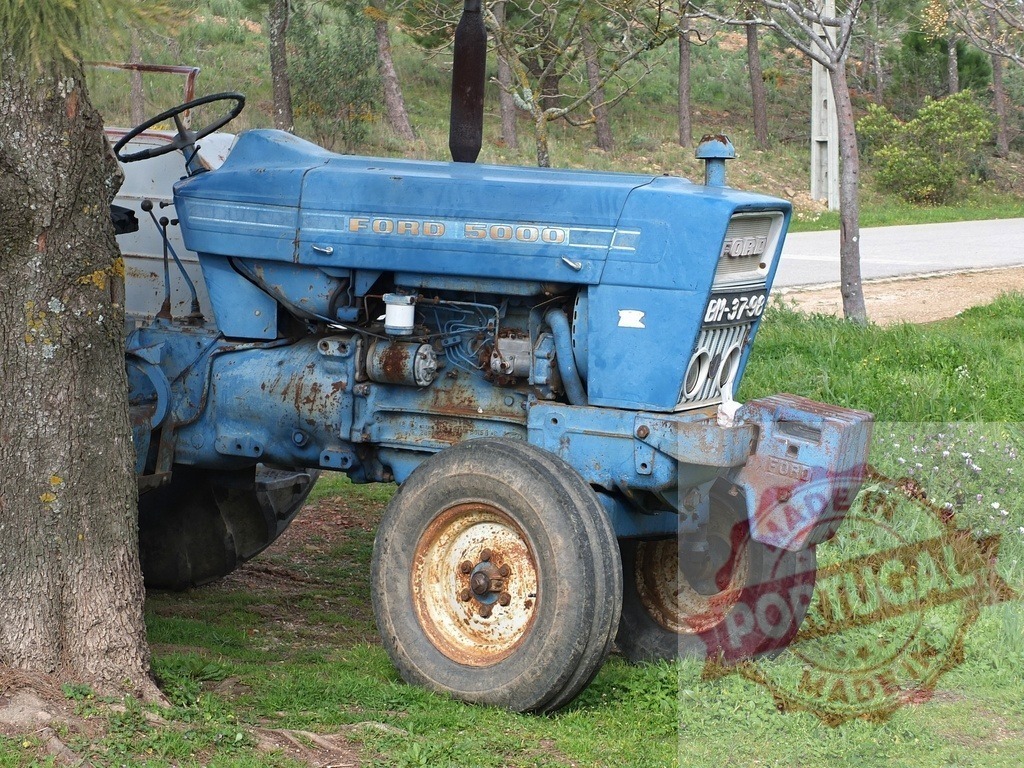 Old blue Ford 5000 tractor parked in grass | Old blue Ford 5000 tractor parked in green grass near a tree - Realisiert mit Pictrs.com