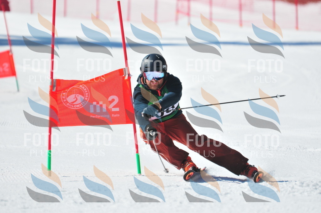 C3335 | holidayphoto