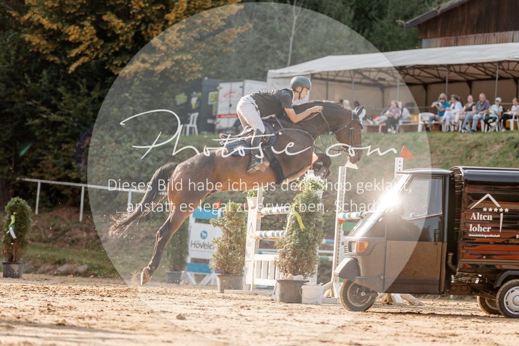 3I6A4980 | Stimmungsvolle Portraits und Reitsportfotografie im Ruhrgebiet und im Münsterland.

Pferdefotografie, Hundefotografie, Tierfotografie, Reportagen, Portraits von Tier und Mensch, Turnierfotografie in Bochum, Recklinghausen, Marl, Haltern am See, Dülmen.. - Realisiert mit Pictrs.com