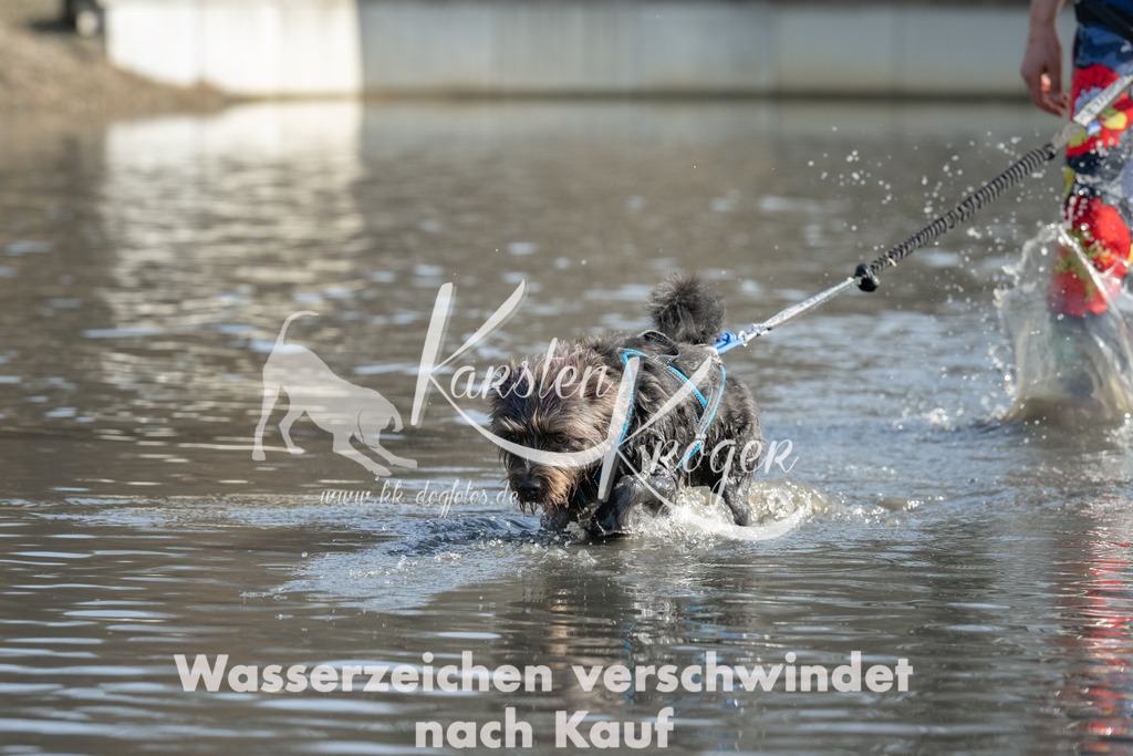 1304_ZZ94489 | kk-dogfotos