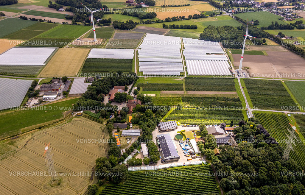 Bottrop240701730Kirchhellen | Luftbild,Schmücker Hof Landwirtschaftsbetrieb,  Plantagenanbau, Hof Umberg und Gewächshäuser, Kirchhellen-Nord-Ost, Bottrop, Ruhrgebiet, Nordrhein-Westfalen, Deutschland