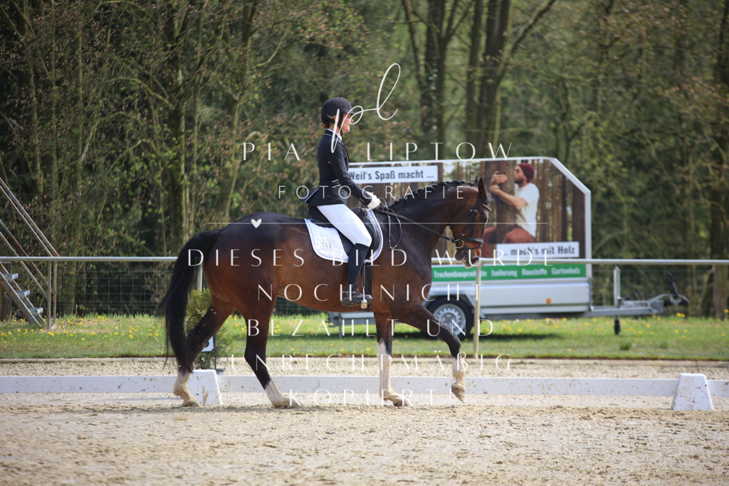 IMGT4587 | pl-fotografie