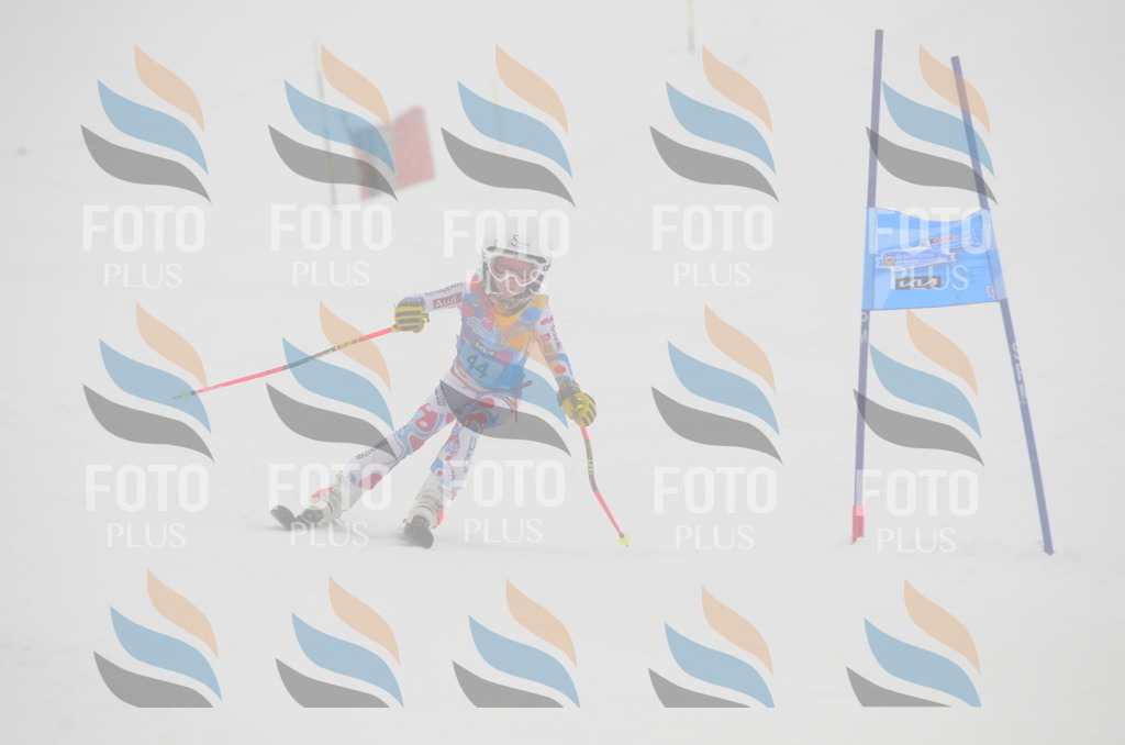 C0899 | holidayphoto