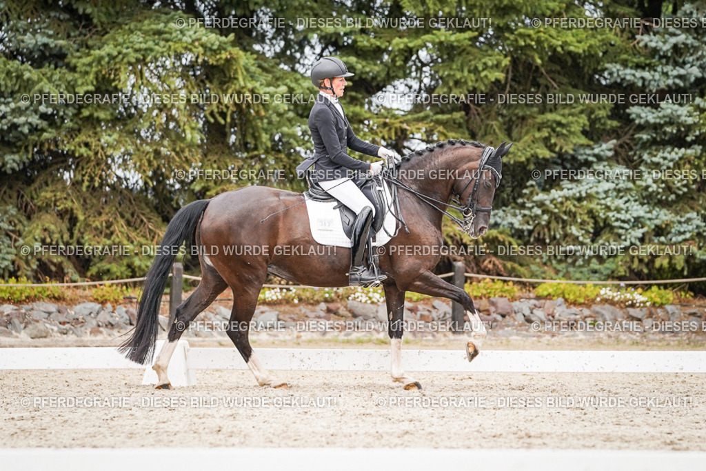 DSC07628 | Pferdegrafie