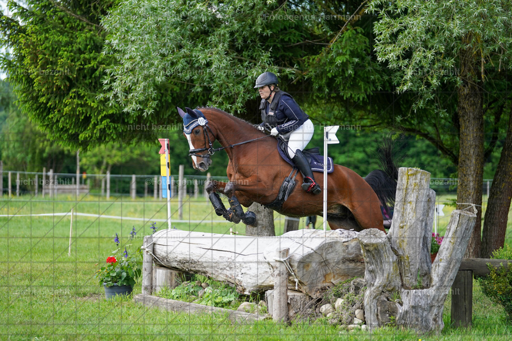 20240518-FAH04172 | Turnierbilder von Niederseon, Turnierfotografen Bayern, Fotoagentur Herrmann, Geländebilder, Reitsportfotografie