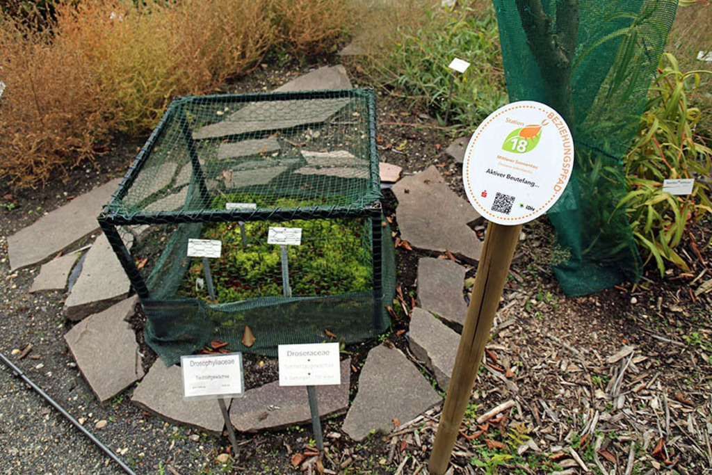 Bildlexikon Leipzig - Botanischer Garten der Universität Leipzig | Das Team hinter BILDLEXIKON LEIPZIG bündelt historische wie aktuelle Informationen über die Stadt Leipzig in Text und Bild auf einer Plattform und stellt diese der interessierten Öffentlichkeit zur Verfügung.