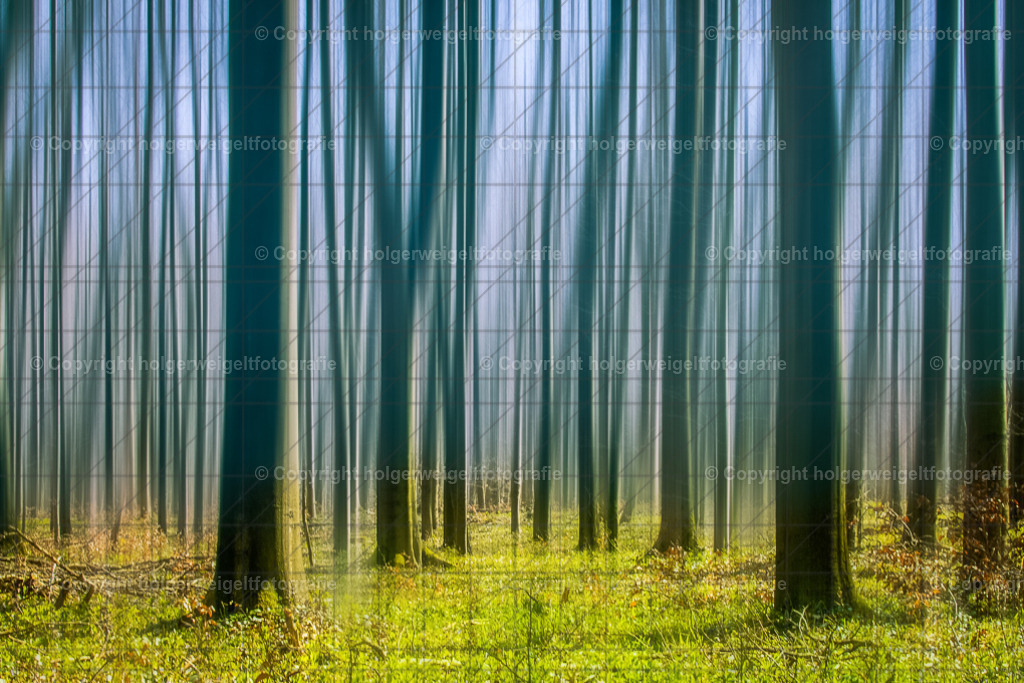 Stadtwald | Kaufen sie online außergewöhnliche Fotografien auf Leinwand Acrylglas Fotoprint Aludibond von holgerweigeltfotografie - Realisiert mit Pictrs.com