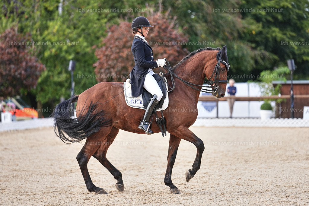 13-072-S___ -Marixx-7068 | working equitationturnier fotograf videograf stoibphotography marixx film working equitation deutschland reitsport turnierfotografie eventfotografie equestrian events