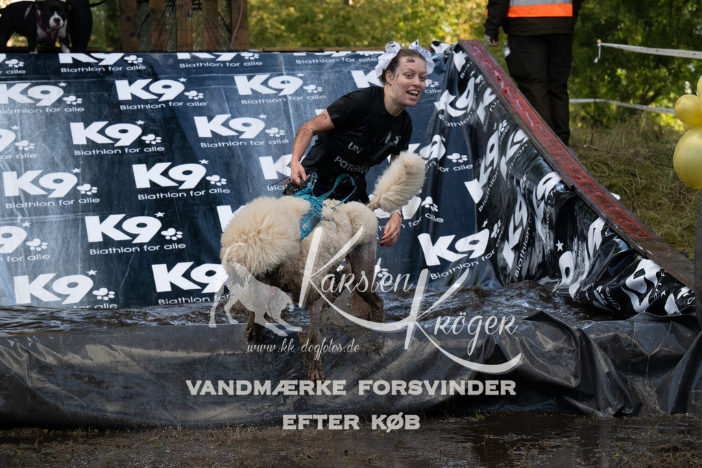 1555_ZZ91351 | kk-dogfotos