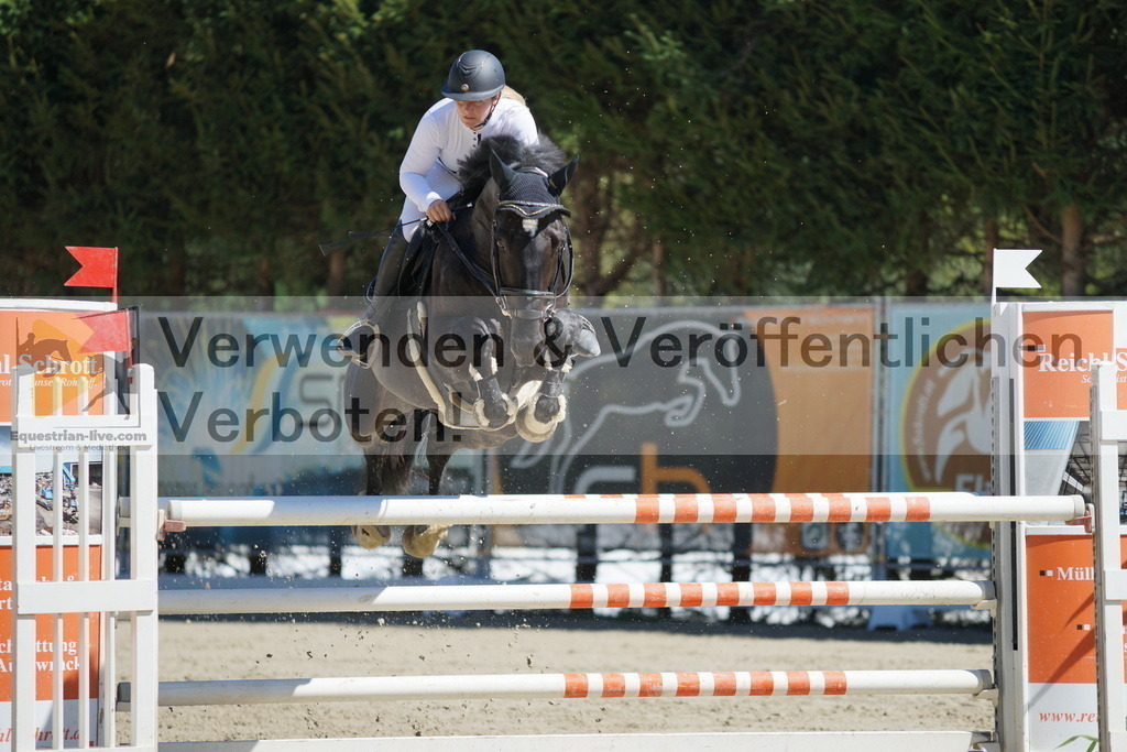 DSC02506 | equestrian-live-com