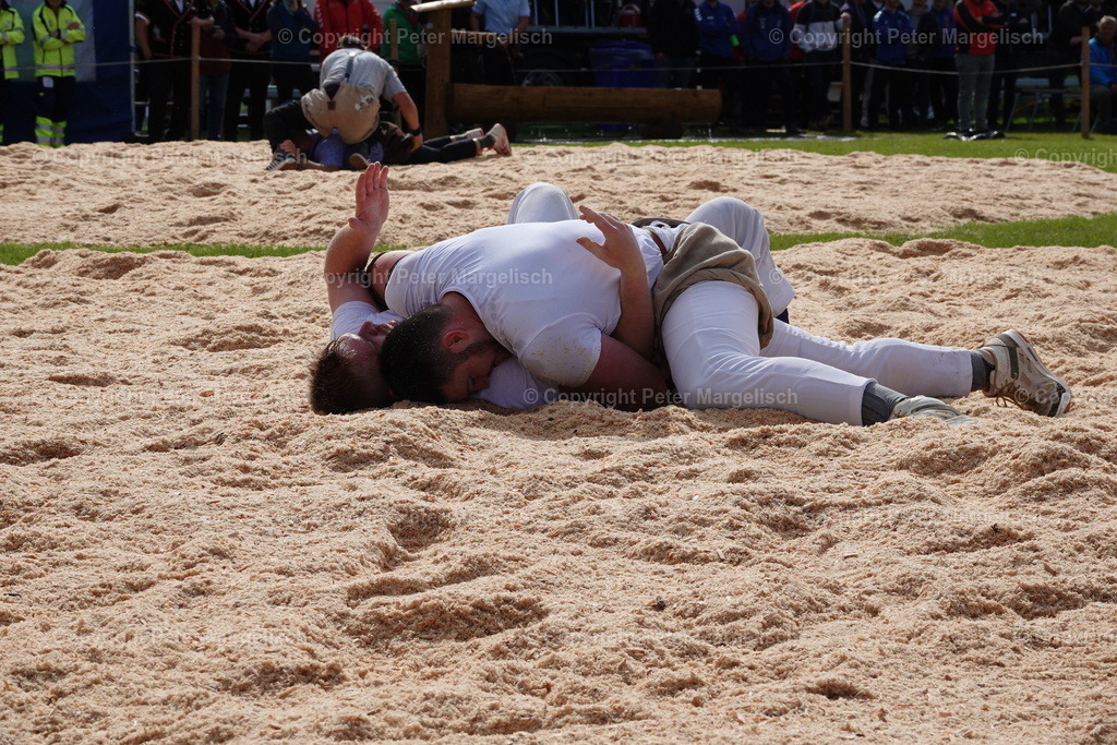 DSC00666 | Schwingen - Realisiert mit Pictrs.com