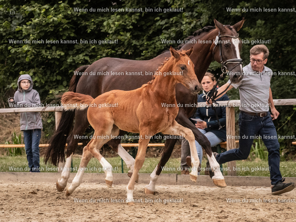 A10I6661 | photographylinaismer - Realisiert mit Pictrs.com