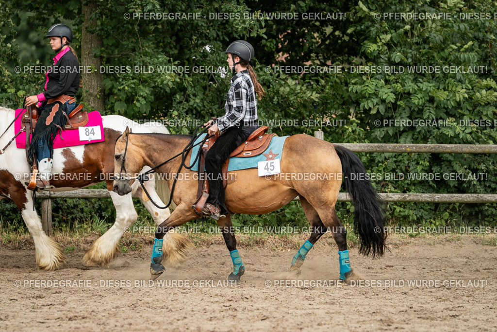 DSC03784 | Pferdegrafie