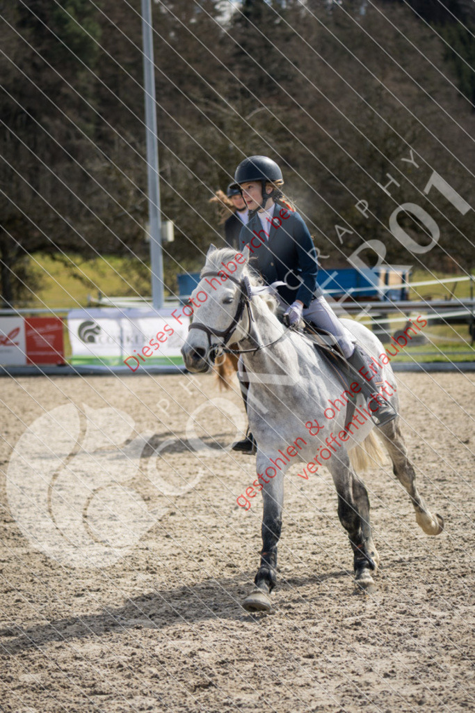 IMG_4588 | Sport-, Event- und Tierfotos in Profiqualität. Einfach auswählen, bestellen und herunterladen. Dein Moment – perfekt festgehalten.