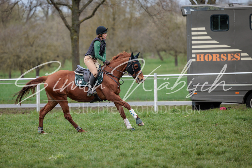 20260329-_3LI5008 | Tierfotografie Pferde, Hunde, Katzen, Haustiere.
Turnierfotografie Reitturniere, Reiten, Springreiten, Dressur in Hanau, dem Main-Kinzig-Kreis und dem Rhein-Main- Gebiet um Frankfurt