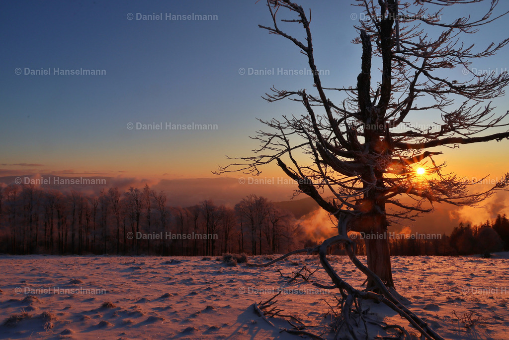 IMG_1474 | Hier finden Sie Poster, Leinwandfotos sowie viele weitere Fotoprodukte mit Motiven aus dem Schwarzwald, aus Freiburg und dem Kaiserstuhl zum Download und zum Bestellen.  - Realisiert mit Pictrs.com