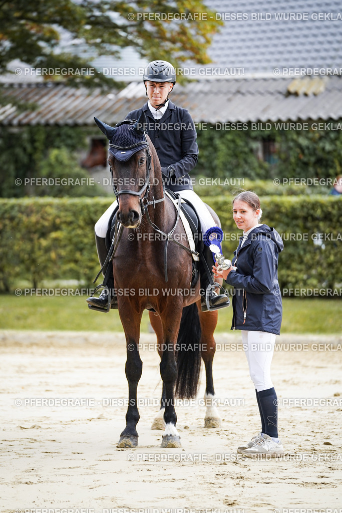 DSC05000 | Pferdegrafie