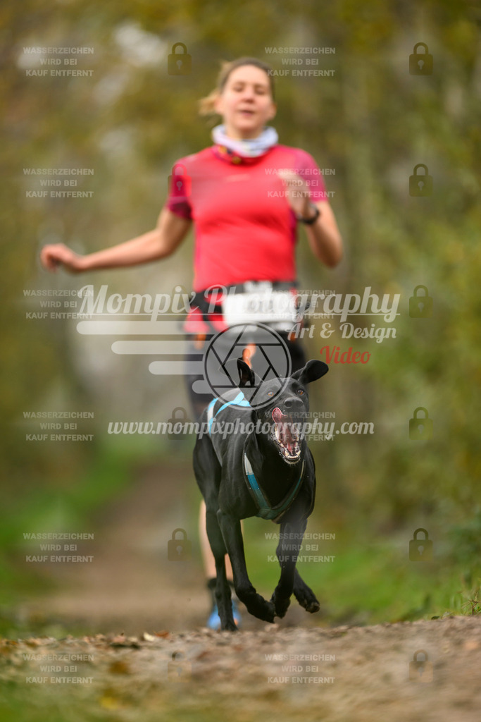 MompixPhotography_20TSB_E6_Run-133 | PayLife