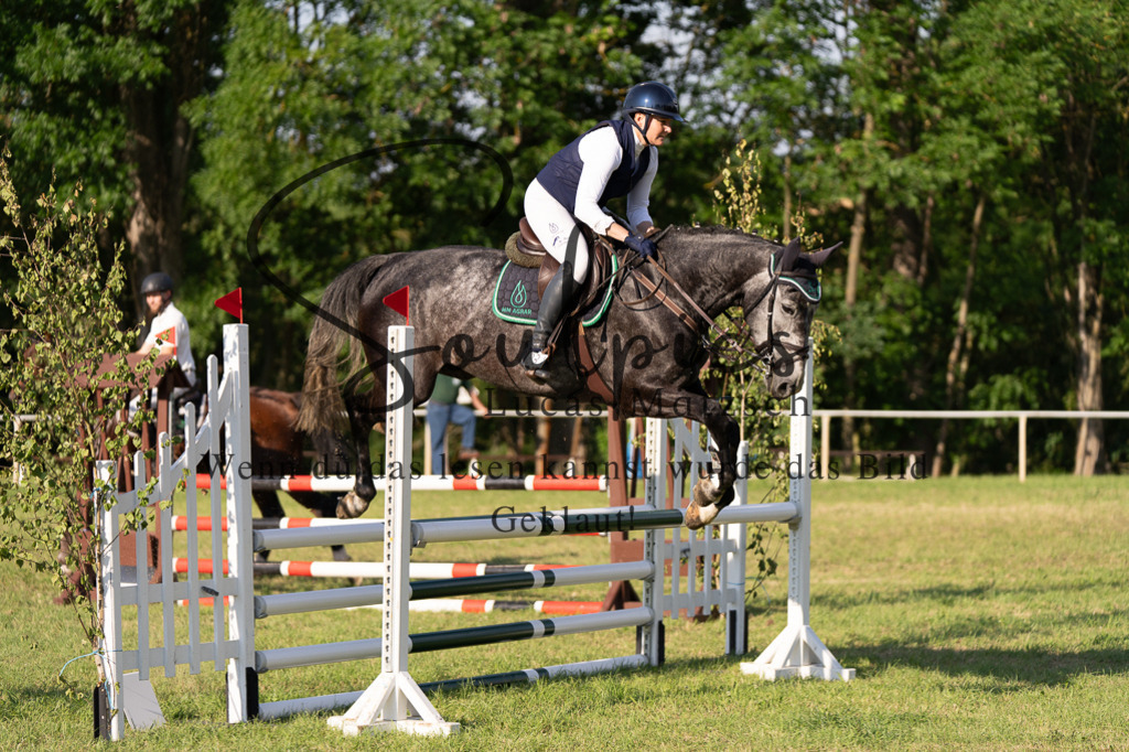 A7501384 | Turnier/Reitfotograf