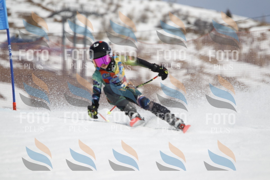 _U3G1737 | holidayphoto