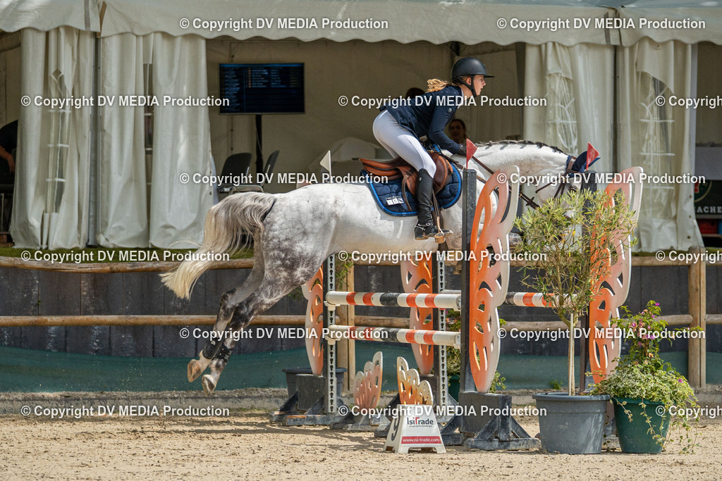 Hessische Tag 1-1362 | dv-media-shop - Realisiert mit Pictrs.com