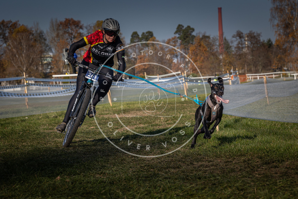 CaniXpix_0L8A6634 | Hundefotografie, Tierfotograf, Pfotenfotografie, Fotoshooting Hund, Hunde Portrait, Hundesport, Hundeportraits, Heideshooting, Hunde, Sportfotograf, Hundefotograf, Turnierhundsport, THS,  - Realisiert mit Pictrs.com