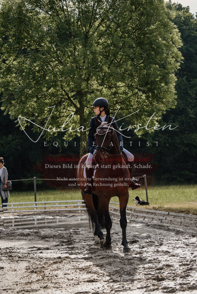 DSC_8545 | Pferde- und Turnierfotografie in Westsachsen. Pferdeportraits, Auftragszeichnungen und intuitive Kunst.