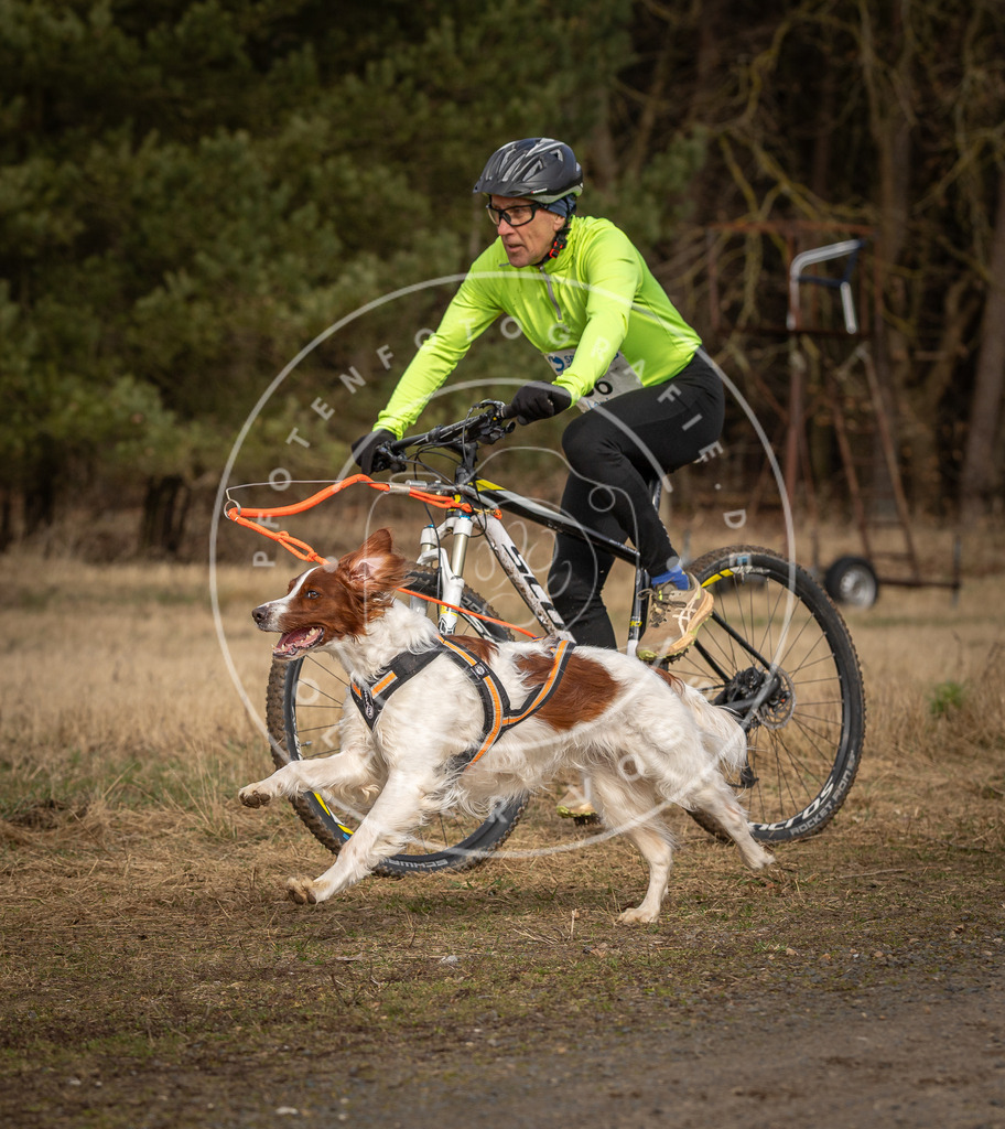 DV3A4591 | Hundefotografie, Tierfotograf, Pfotenfotografie, Fotoshooting Hund, Hunde Portrait, Hundesport, Hundeportraits, Heideshooting, Hunde, Sportfotograf, Hundefotograf, Turnierhundsport, THS,  - Realisiert mit Pictrs.com