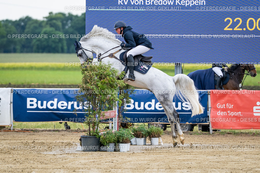 DSC04383 | Pferdegrafie